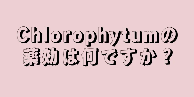 Chlorophytumの薬効は何ですか？