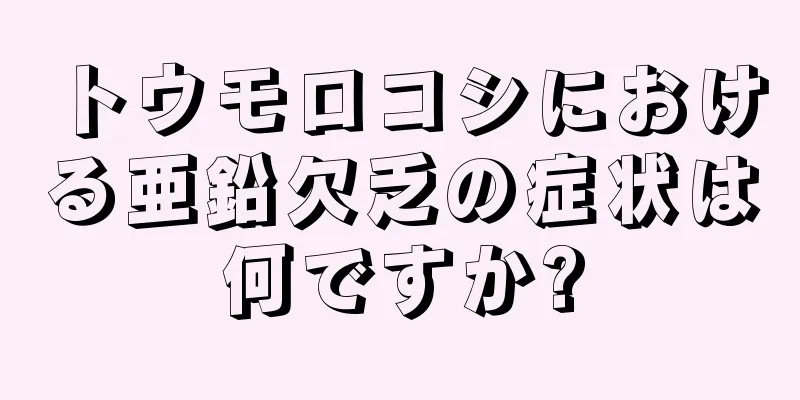 トウモロコシにおける亜鉛欠乏の症状は何ですか?