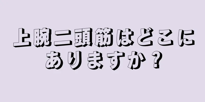 上腕二頭筋はどこにありますか？