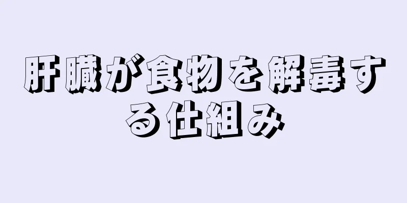 肝臓が食物を解毒する仕組み