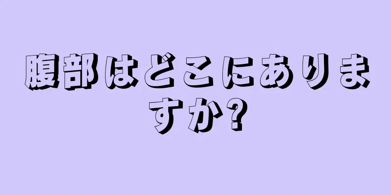 腹部はどこにありますか?