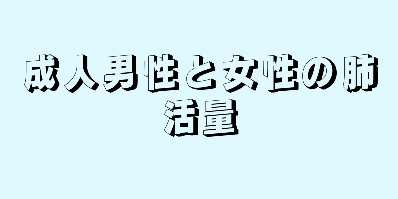 成人男性と女性の肺活量