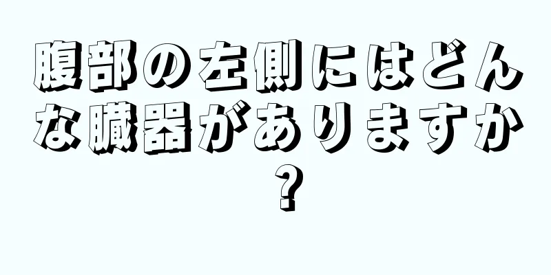 腹部の左側にはどんな臓器がありますか？