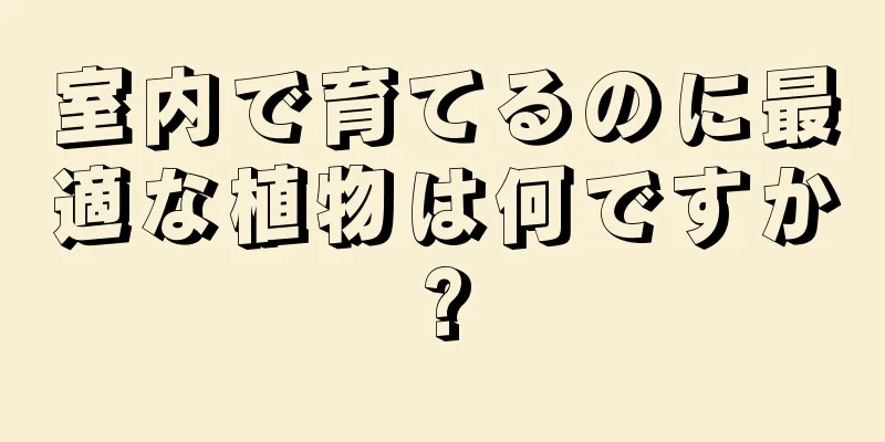 室内で育てるのに最適な植物は何ですか?