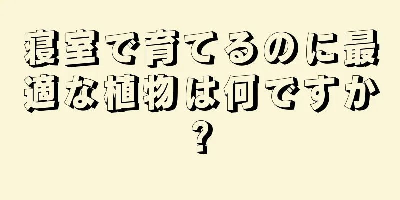 寝室で育てるのに最適な植物は何ですか?