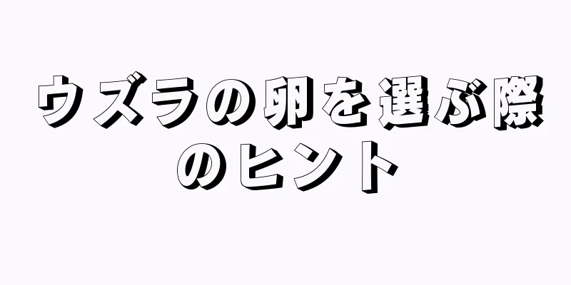 ウズラの卵を選ぶ際のヒント