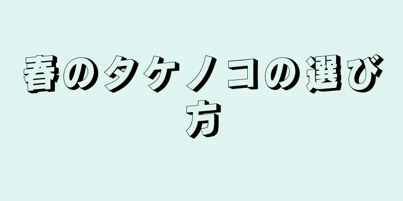 春のタケノコの選び方