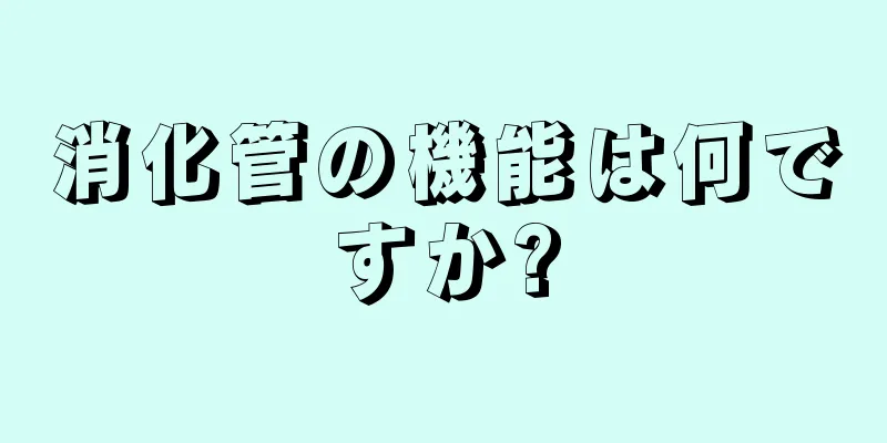 消化管の機能は何ですか?