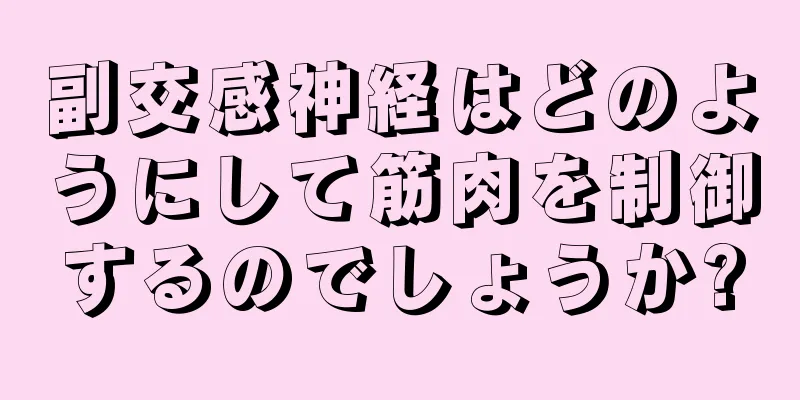 副交感神経はどのようにして筋肉を制御するのでしょうか?