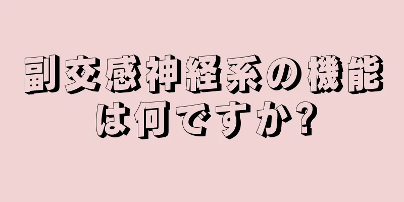 副交感神経系の機能は何ですか?