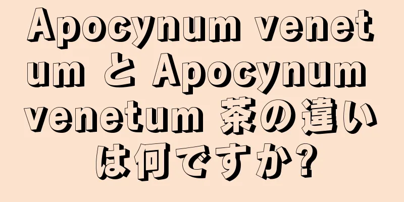 Apocynum venetum と Apocynum venetum 茶の違いは何ですか?