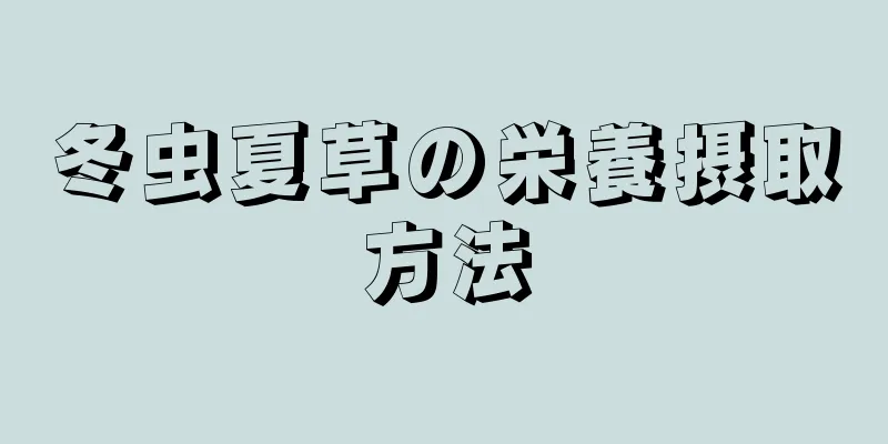 冬虫夏草の栄養摂取方法