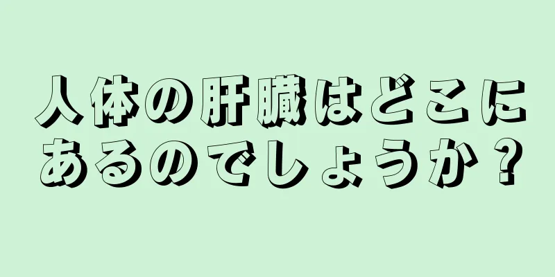 人体の肝臓はどこにあるのでしょうか？