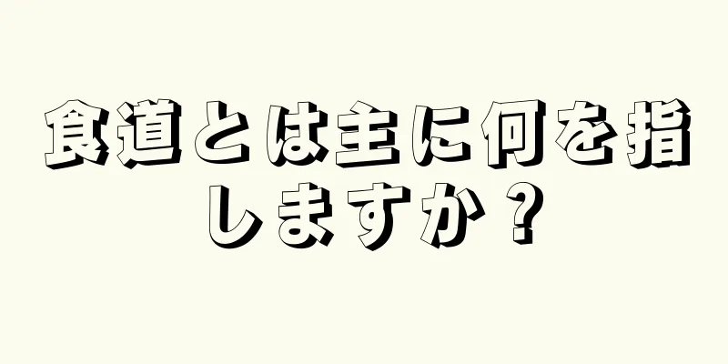 食道とは主に何を指しますか？