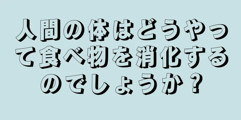 人間の体はどうやって食べ物を消化するのでしょうか？