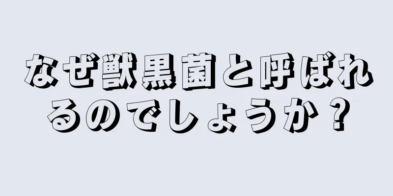 なぜ獣黒菌と呼ばれるのでしょうか？