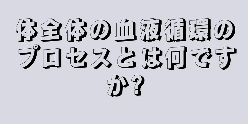 体全体の血液循環のプロセスとは何ですか?