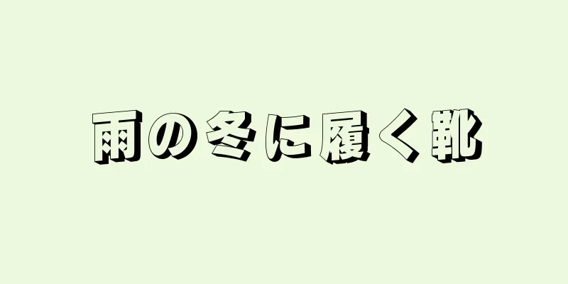 雨の冬に履く靴