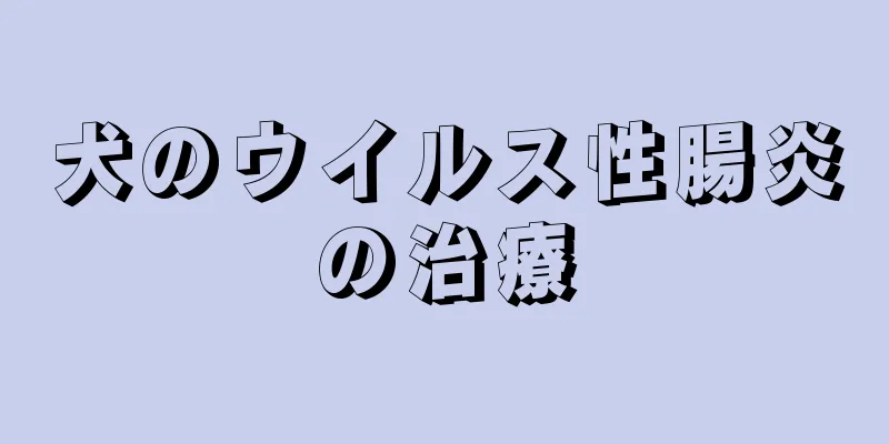 犬のウイルス性腸炎の治療