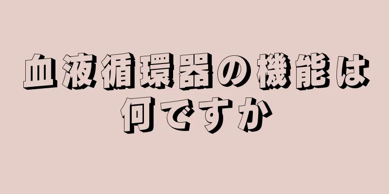 血液循環器の機能は何ですか