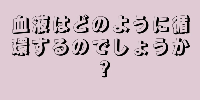 血液はどのように循環するのでしょうか？