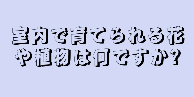 室内で育てられる花や植物は何ですか?