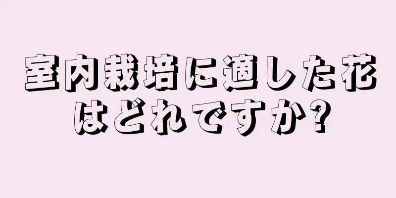 室内栽培に適した花はどれですか?