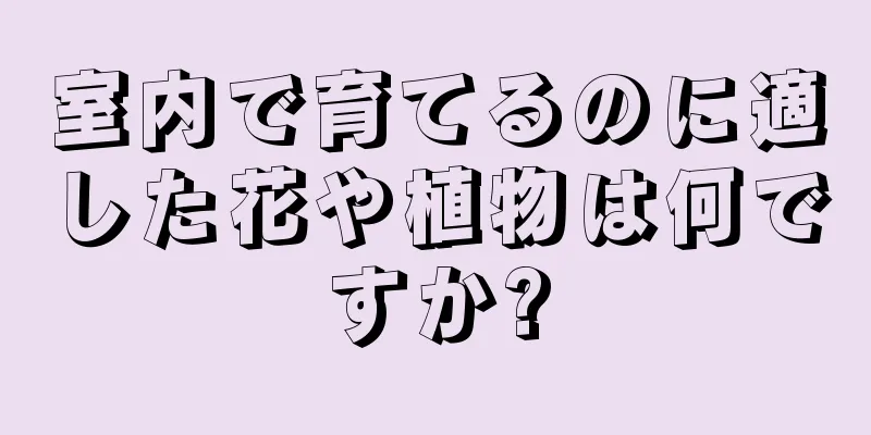 室内で育てるのに適した花や植物は何ですか?