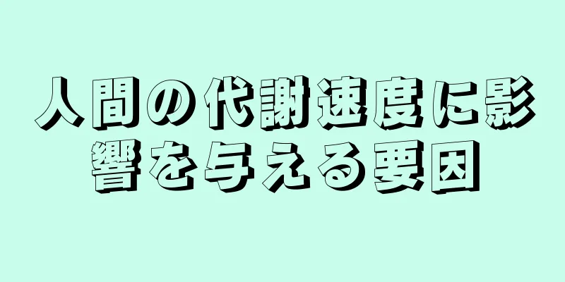 人間の代謝速度に影響を与える要因