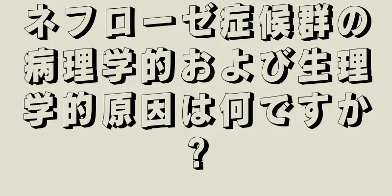 ネフローゼ症候群の病理学的および生理学的原因は何ですか?