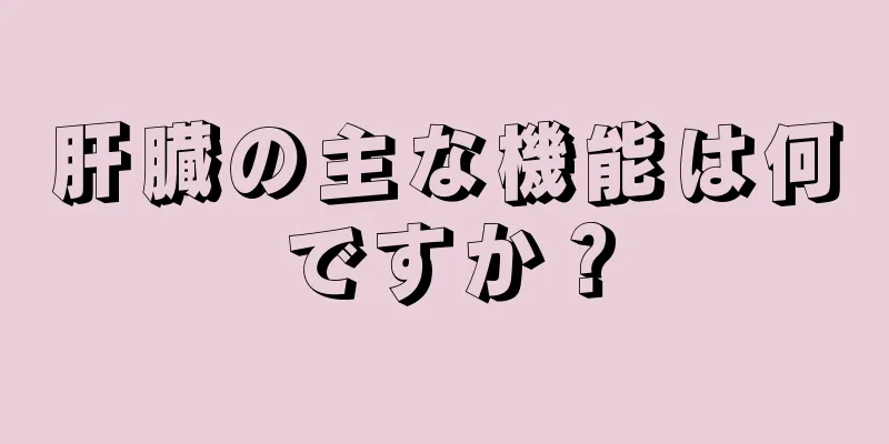 肝臓の主な機能は何ですか？