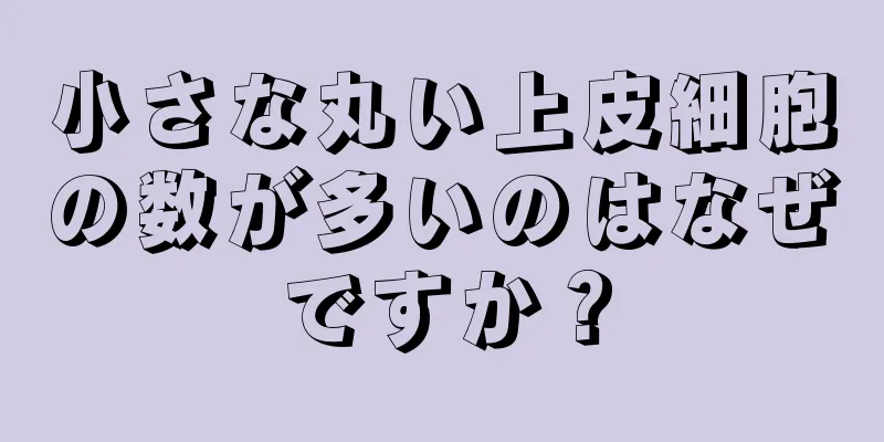 小さな丸い上皮細胞の数が多いのはなぜですか？