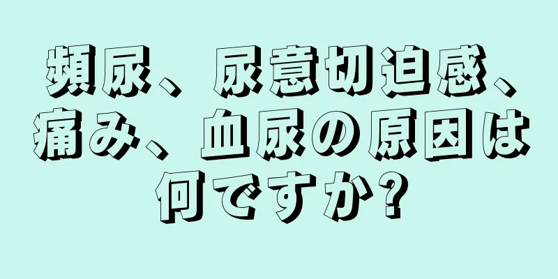 頻尿、尿意切迫感、痛み、血尿の原因は何ですか?