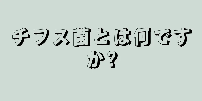 チフス菌とは何ですか?