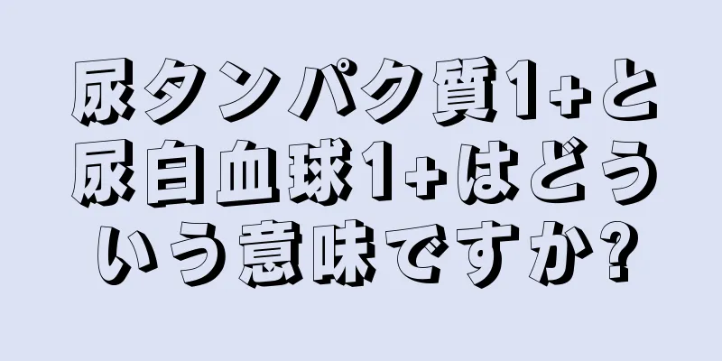 尿タンパク質1+と尿白血球1+はどういう意味ですか?