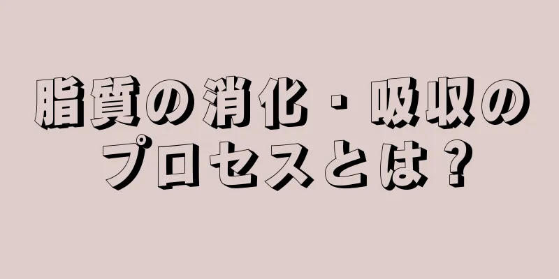 脂質の消化・吸収のプロセスとは？