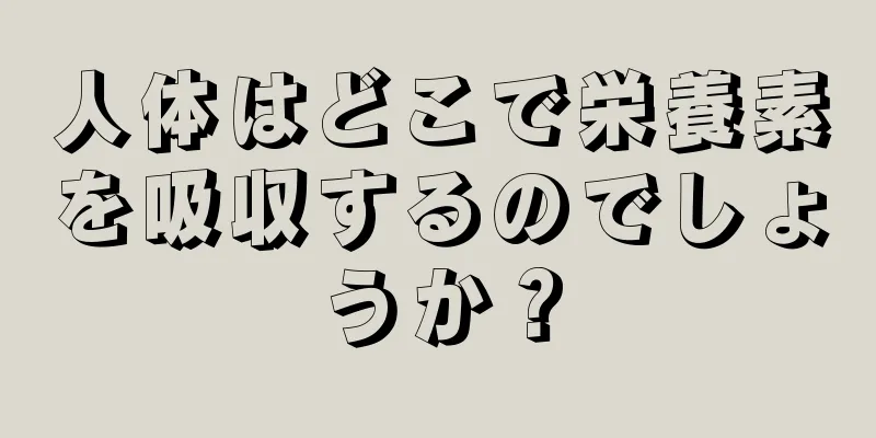 人体はどこで栄養素を吸収するのでしょうか？