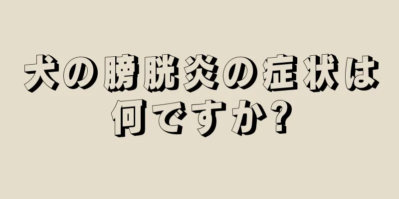 犬の膀胱炎の症状は何ですか?