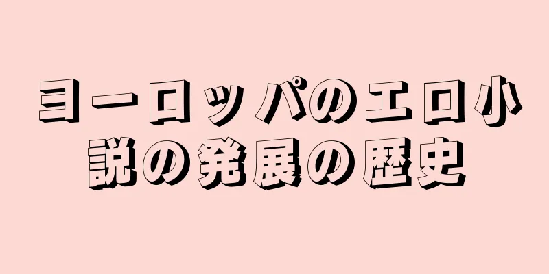 ヨーロッパのエロ小説の発展の歴史