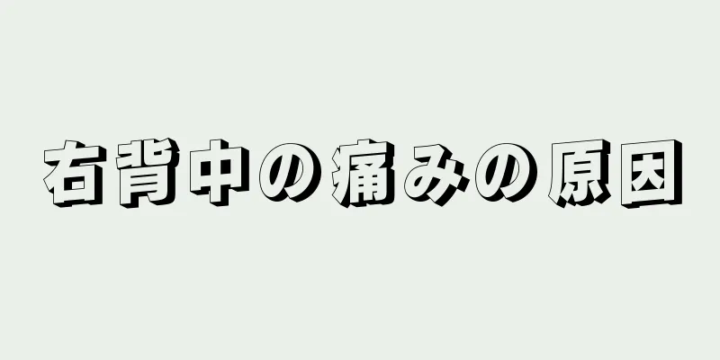 右背中の痛みの原因