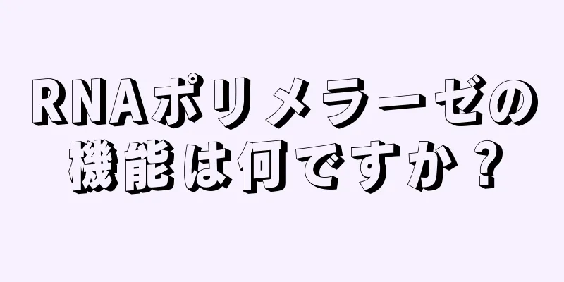 RNAポリメラーゼの機能は何ですか？