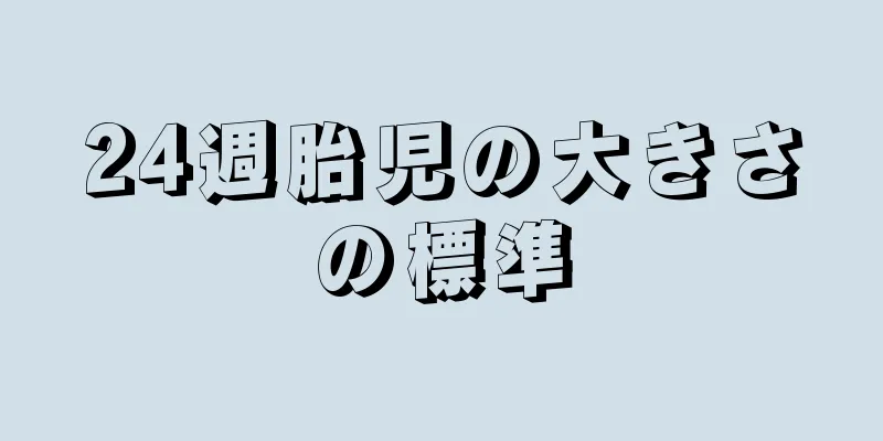 24週胎児の大きさの標準