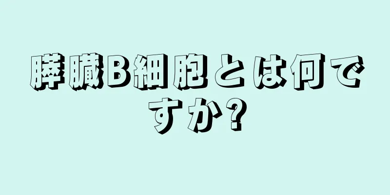 膵臓B細胞とは何ですか?