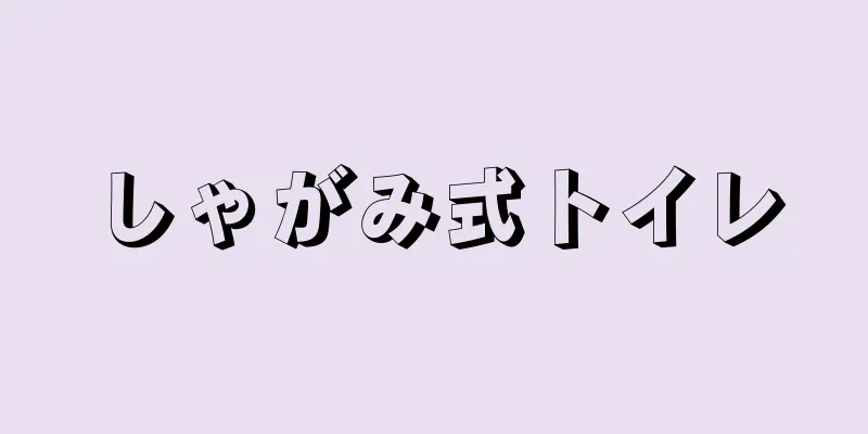 しゃがみ式トイレ