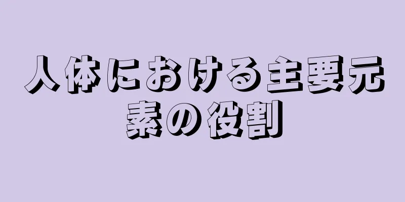 人体における主要元素の役割