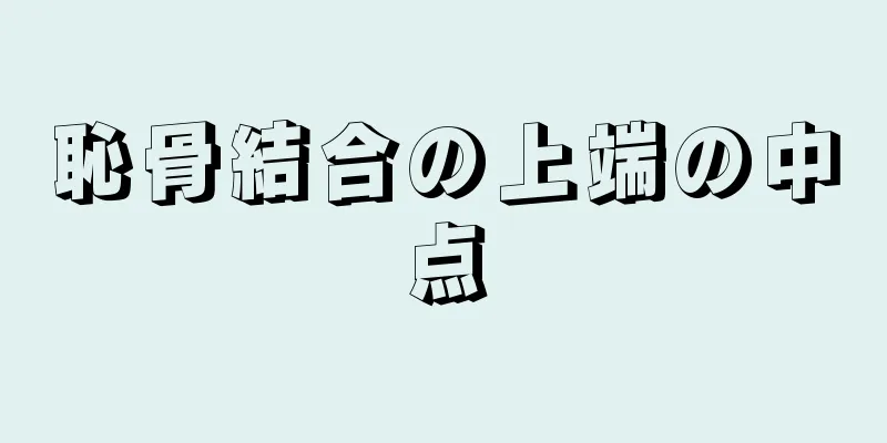 恥骨結合の上端の中点