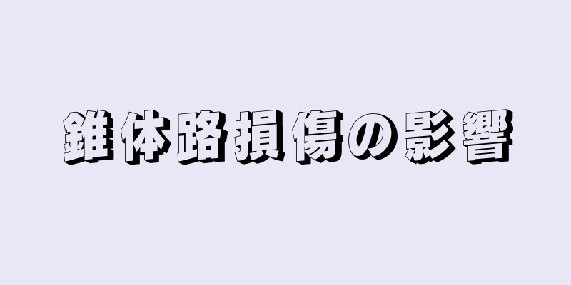 錐体路損傷の影響