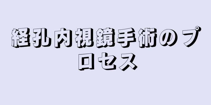 経孔内視鏡手術のプロセス