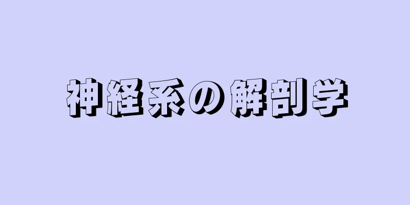 神経系の解剖学