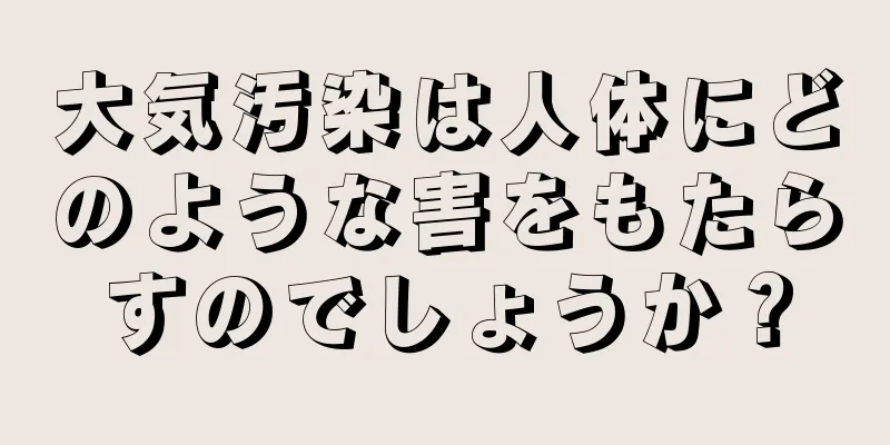 大気汚染は人体にどのような害をもたらすのでしょうか？